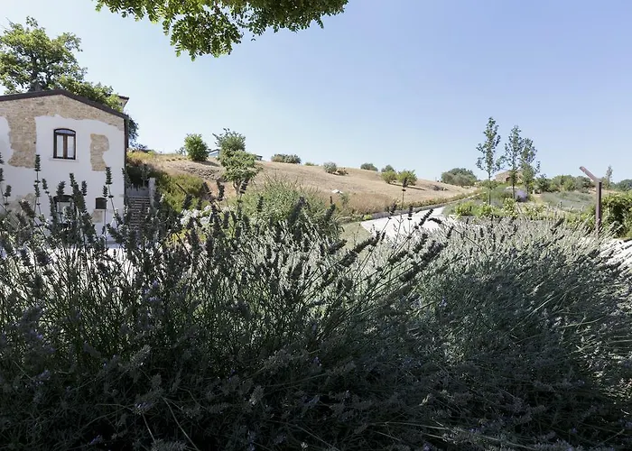 Hotel Le Masserie Del Falco